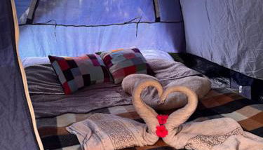 Casa da Árvore - Foto 3