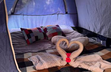 Casa da Árvore - Foto 3