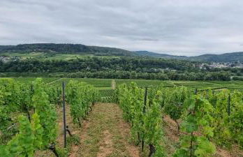 Wald Villa Üssbach - Foto 31