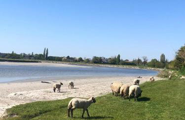 Gite Au Pré du Mont st michel - Foto 43