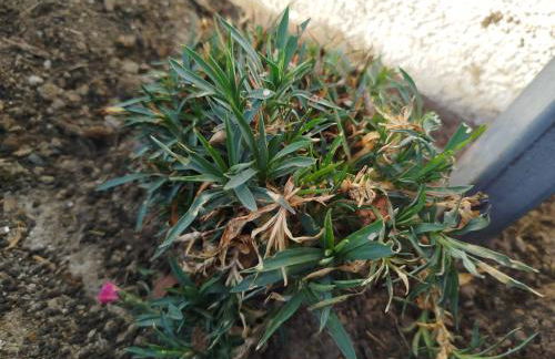 Appartement Design 2 - Altenstadt - Foto 16