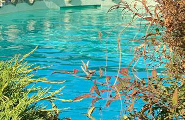 Olympus Theophilia villas - Foto 31