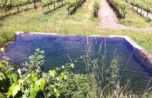 Eira das Carvalhas - Foto 28