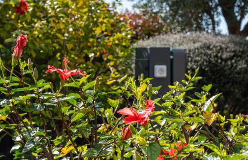 Elísio do Mar by LovelyStay - Foto 50