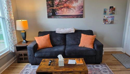 Beautifully Renovated Downtown 1Bed 1 Bath Apt, Pet Friendly - Foto 1