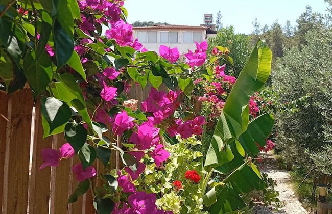 Riviera Bungalow Evleri Demre - Photo 77