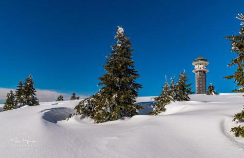 Berghof Almzeit - Fewo "Heuboden", Sauna , Todtnauberg, Feldberg - Foto 32