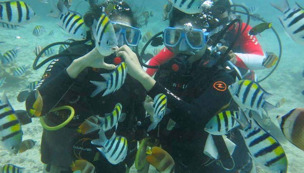 À la découverte de la faune marine