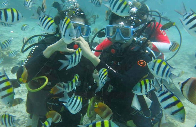 Immersione per principianti a Boracay - Foto 2