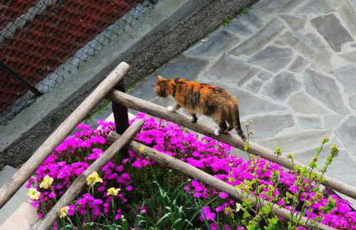 Villa Delle Ciliegie - Foto 29