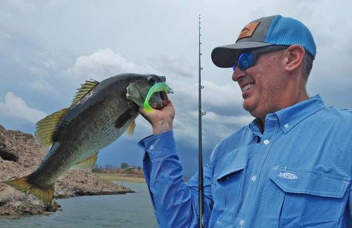 Luxury House with Movie Theater - Foto 76