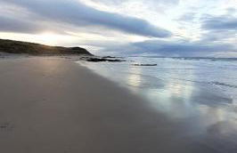 Taid's Retreat Silversands Cove beach lossiemouth - Foto 25