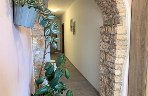 Apartment Lupo - Foto 13