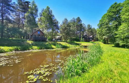 Dom i Domki nad Tanwią Roztocze - Foto 5