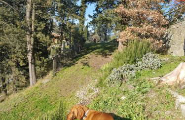 San Martino Country Villa - Foto 26