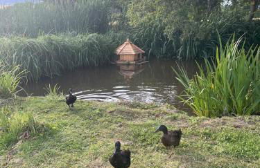 The Old Sty - Foto 15