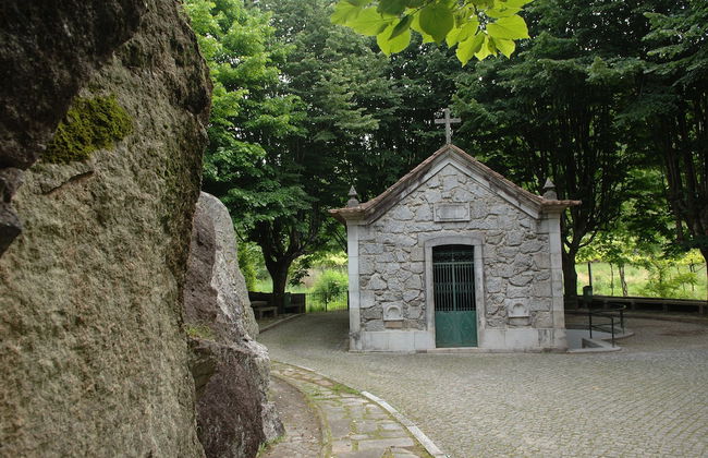 Vale de São Torcato Houses and Wine Bar - Photo 57