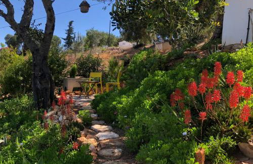 Casa Pura Vida - fantastic sea view - Foto 23