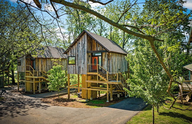 Fairway Treehouses - Photo 39