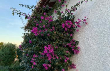 Casa Lila Javea - Foto 24