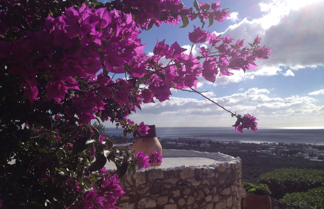 Koutsounari Traditional Cottages - Foto 38