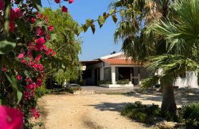 Villa Ammaliante - Foto 3