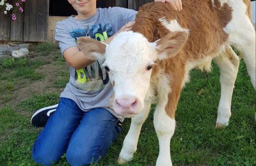 Ferienhof Altmann - Foto 32