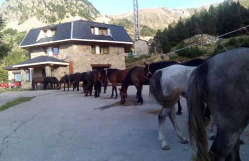 Bungalow en parc natural del Ter 2000 metres - Foto 33