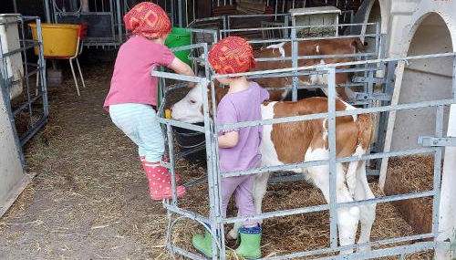 Fuchsbauernhof - Photo 3