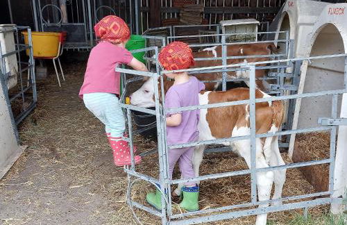 Fuchsbauernhof - Foto 3