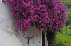 Casa de Campo em Teresópolis - Foto 14