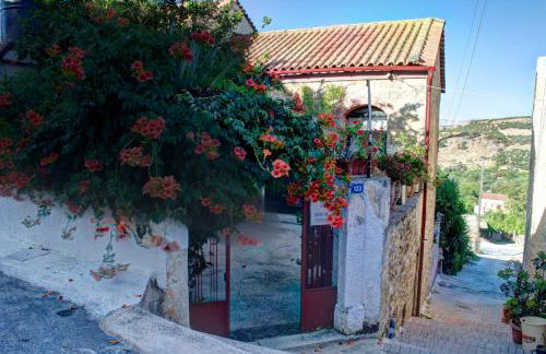 Villa Elborgini - Foto 8