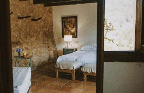 Agroturismo Can Torna AG178 - Photo 57