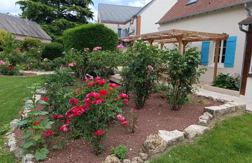 Les lits de la Loire - Photo 34