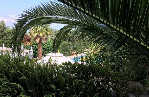 Quinta do Rossio, Rural Tourism - Photo 21