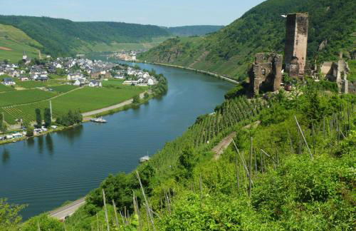 Weingut im Moselkrampen - Foto 8