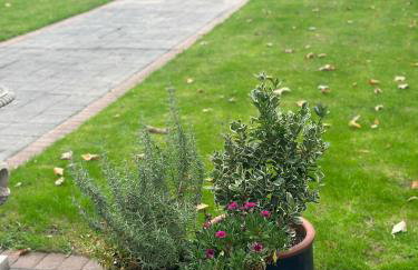 Large Putney Oasis 3-Bed with Garden & Parking - Foto 18