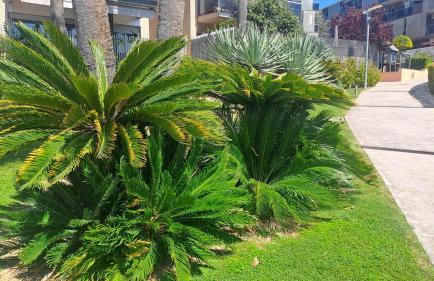 Port Aventura 5 min à pied - Superbe appartement - Foto 41