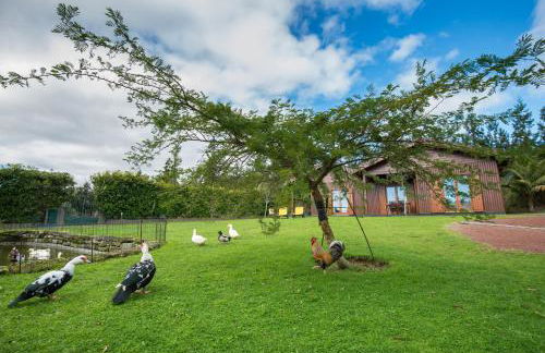 Quinta dos Curubas - Foto 33