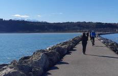 Terrazza M & G - Photo 45