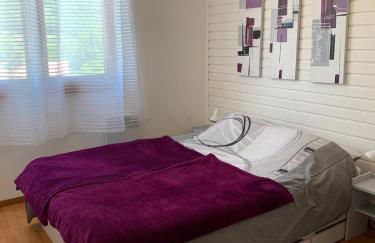 Beautiful apartment duplex in a chalet with garden for 6 in Morillon - Photo 6