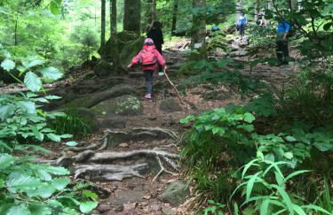 Haus Jenni im Schwarzwald, 3,5-Zimmer, große Terrasse - Foto 51
