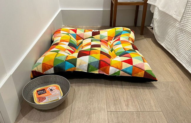 Apartamentos Turísticos La Plaza - Foto 19