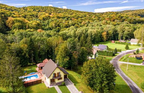 Nice Home In Brestovac With Sauna - Foto 14