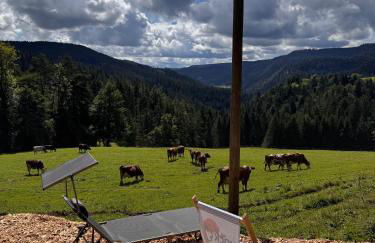 Hansjörgenhof Bioland-Hof - Foto 21