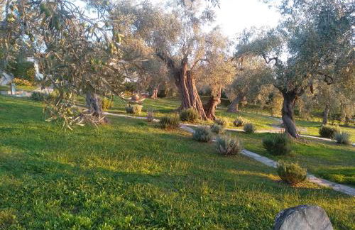 Saint Andrews Bay - Foto 30