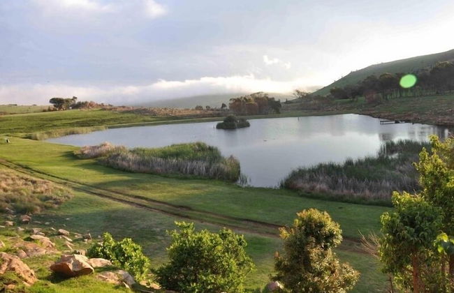 Field and Stream - Foto 49