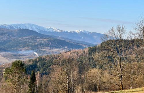 Apartament Buldog - Foto 12