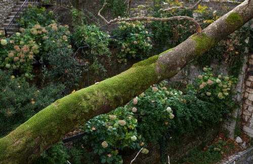 Bezeniko Amazing Arcadian Property! - Foto 41