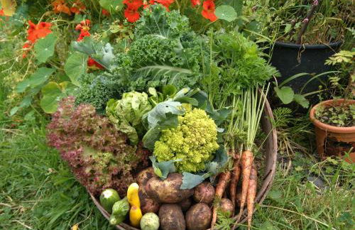 Bastle Retreats Cabin with hot tub - Foto 29